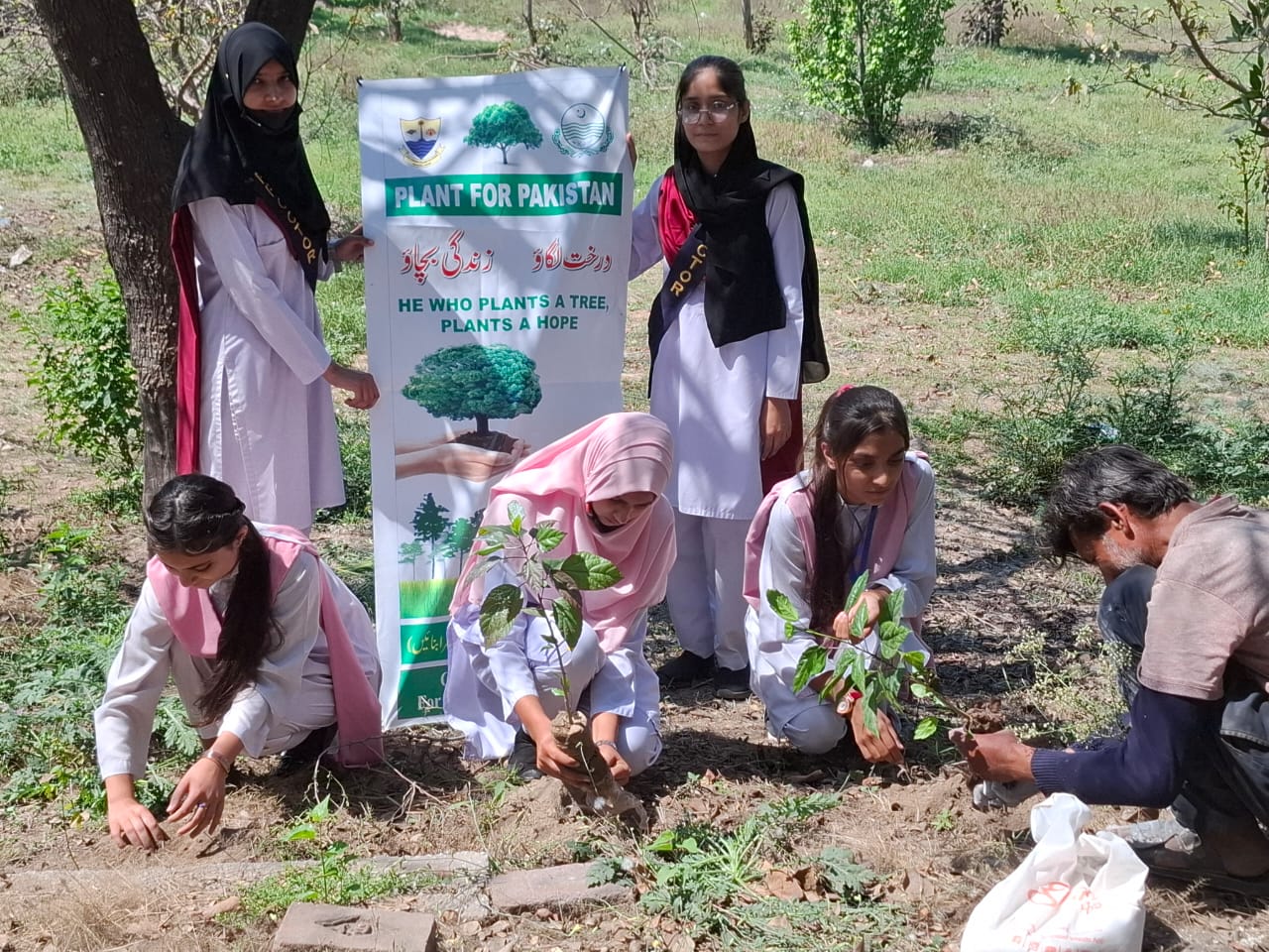 tree Plantation Compaign 